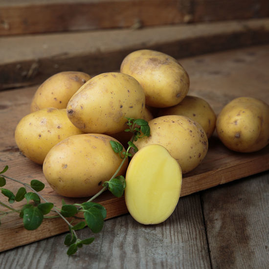 Bild på Potatis Fast Queen Anne 2kg