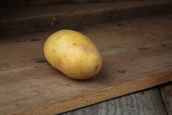 Bild på Potatis Fast Queen Anne 5kg