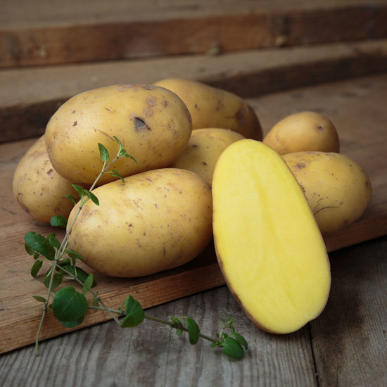 Bild på Potatis Taisiya 5kg